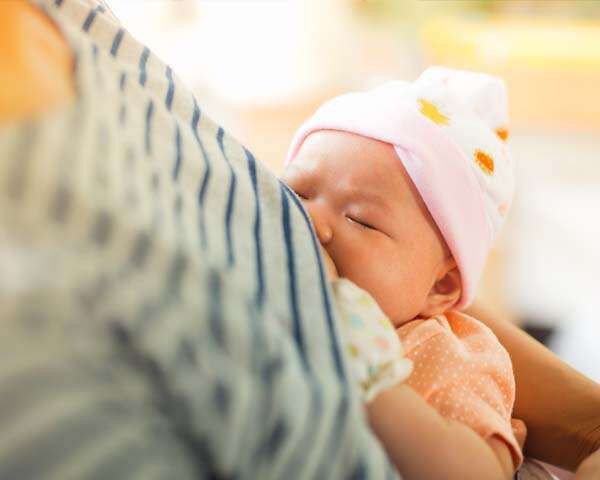 فوائد الحلبة في إنتاج حليب الثدي