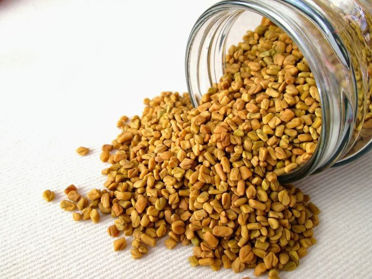 بذور الحلبة