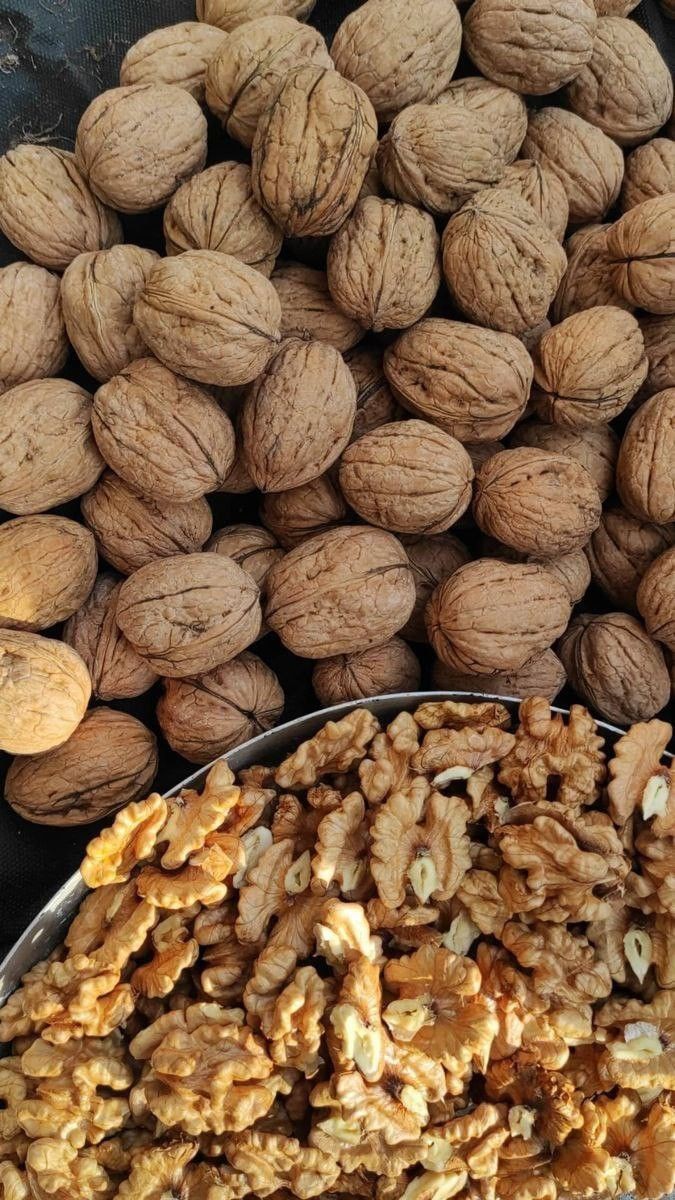 الجوز