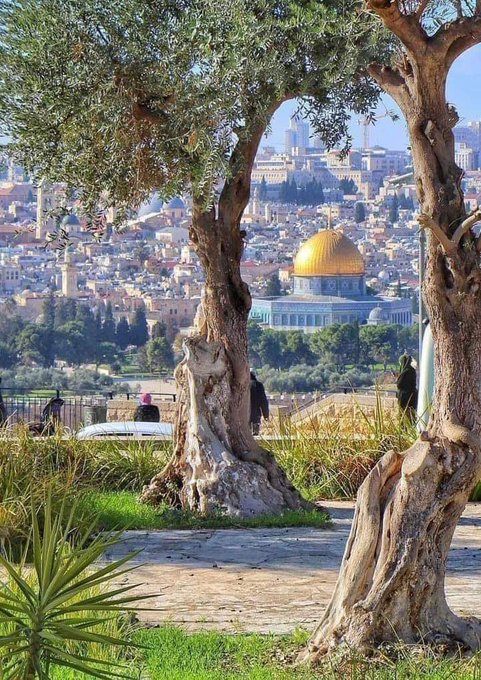 بيت المقدس