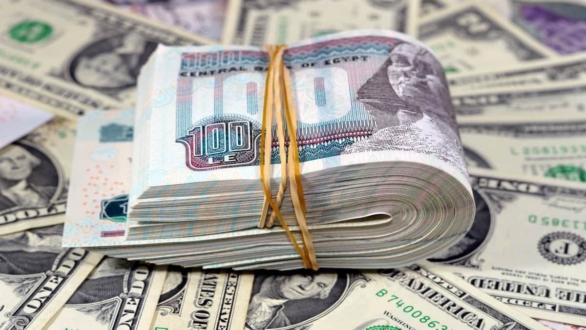 تراجع سعر الدولار اليوم الثلاثاء 25/2/2025 في البنوك