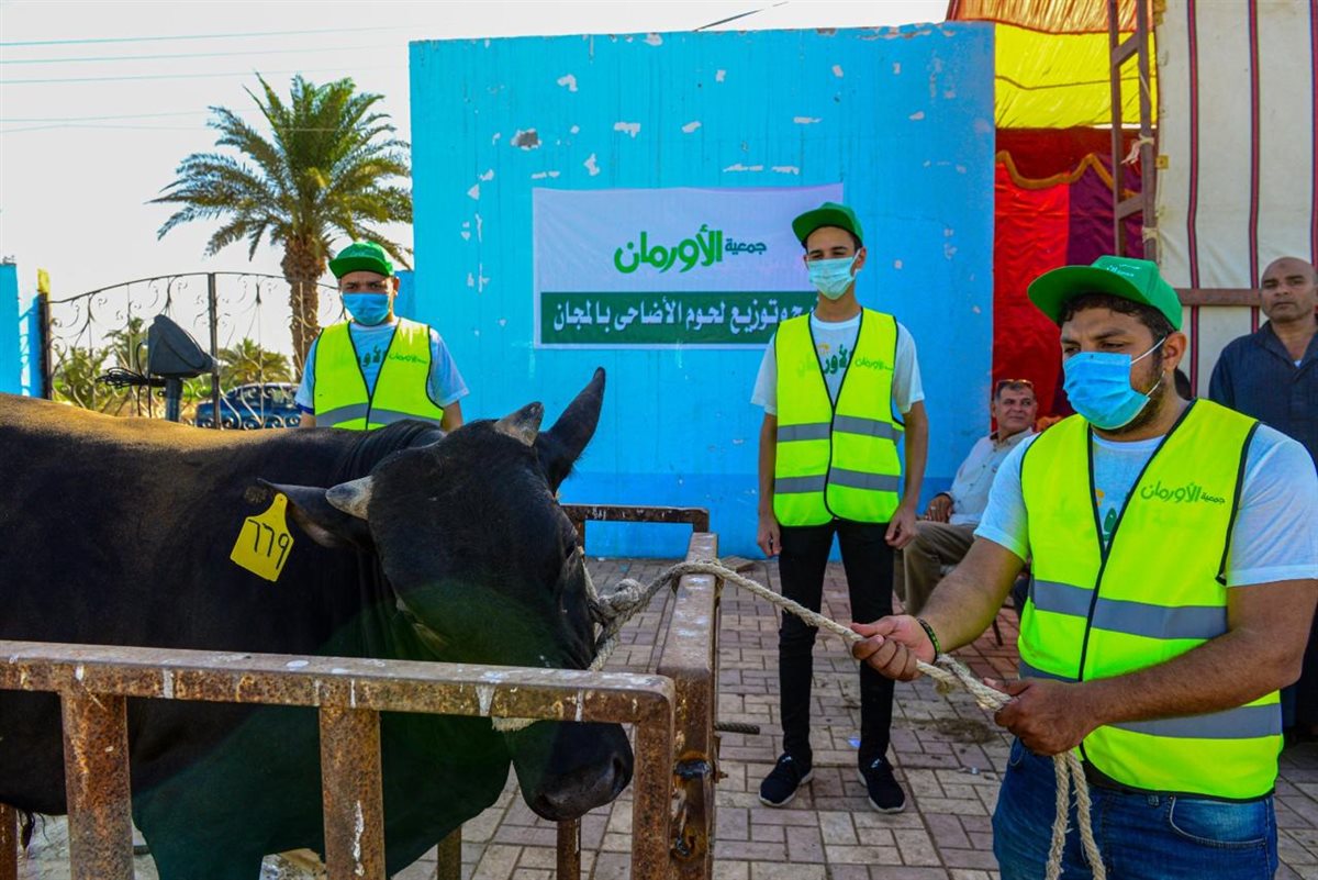الأورمان بالفيوم ترفع درجة الأستعداد لأستقبال عيد الأضحى..ذبح الأضاحي بالمجان