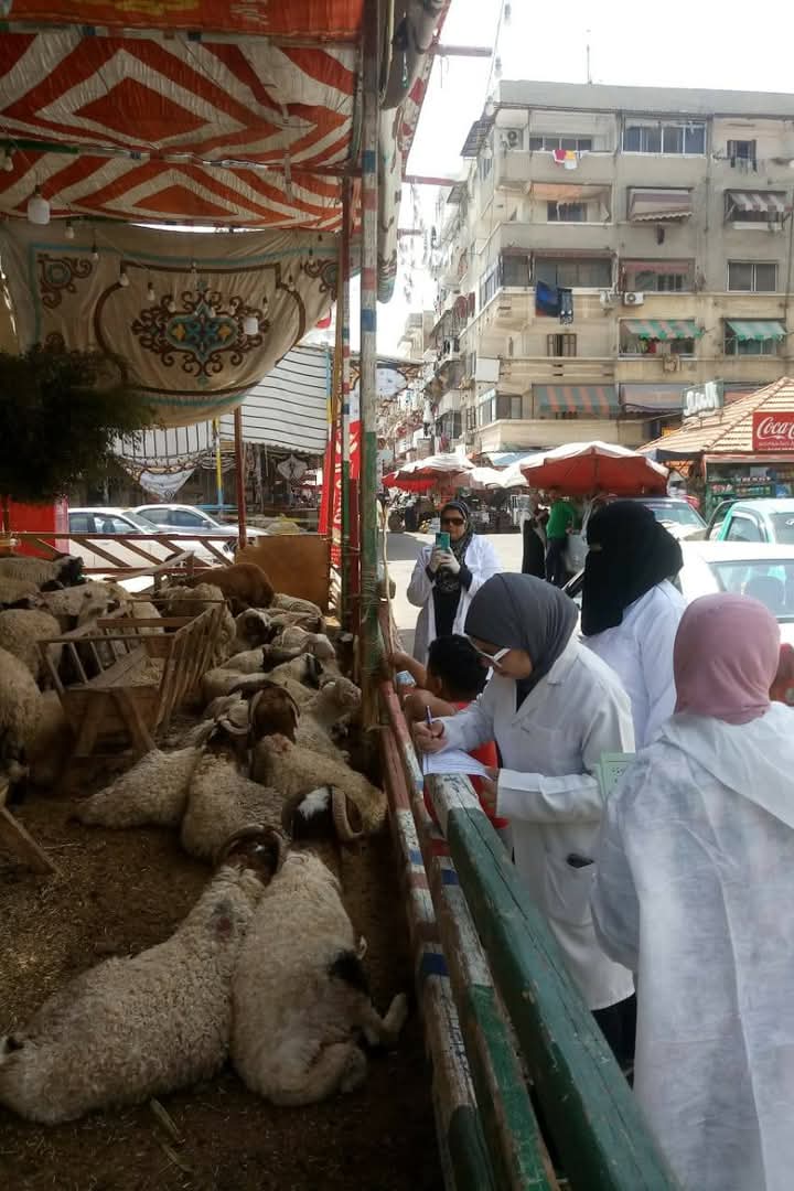 جانب من الحملة