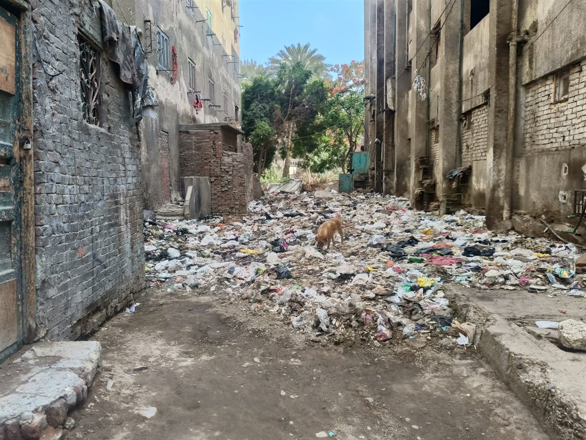 وسط غياب حى غرب الفيوم: تلال القمامة تهدد أرواح أهالي مساكن بركة الشيخ رجب