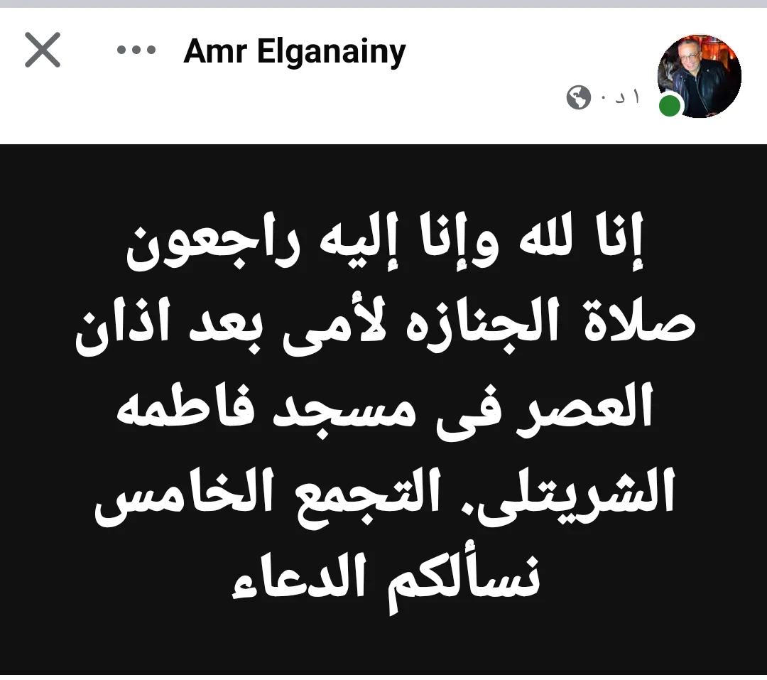 عمرو الجنايني