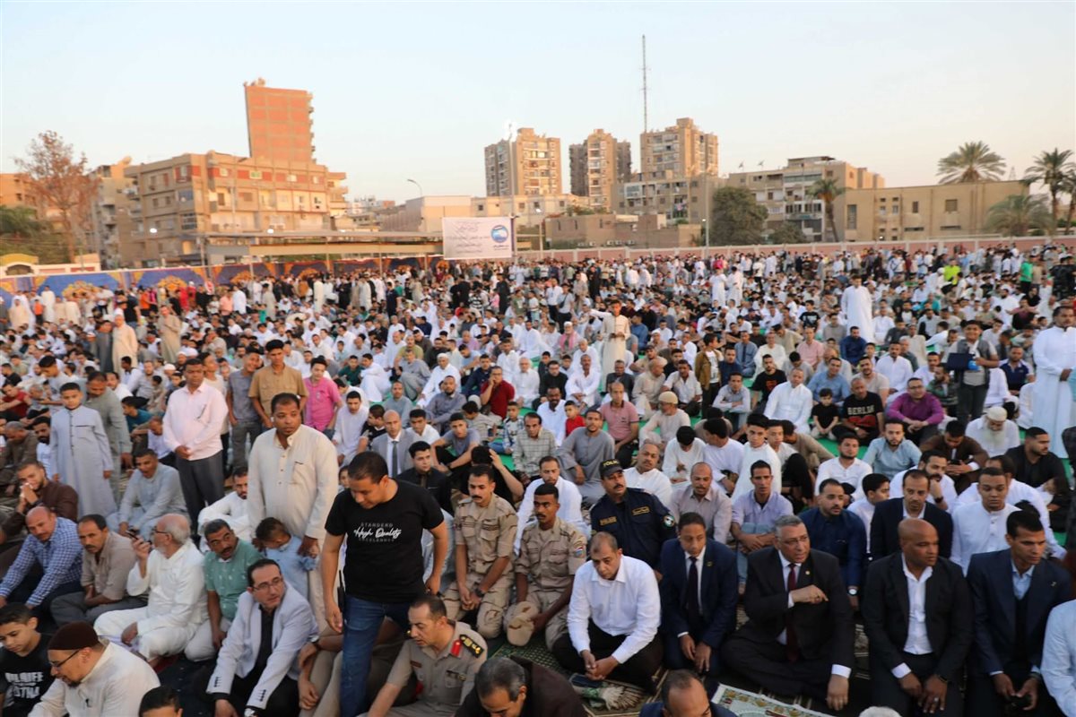 محافظ المنيا