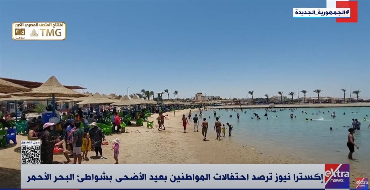 شواطئ البحر الأحمر