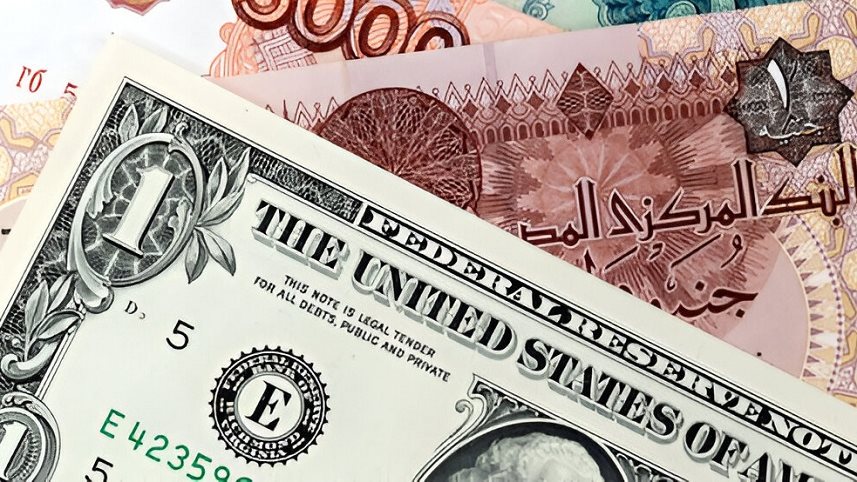 سعر الدولار