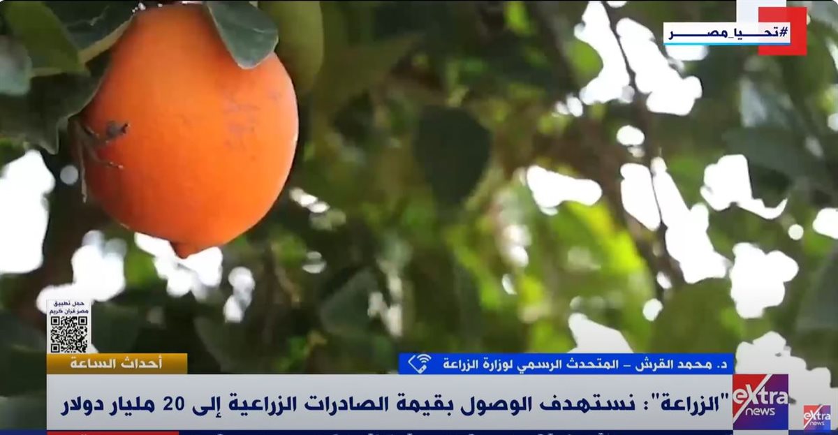الدكتور محمد القرش