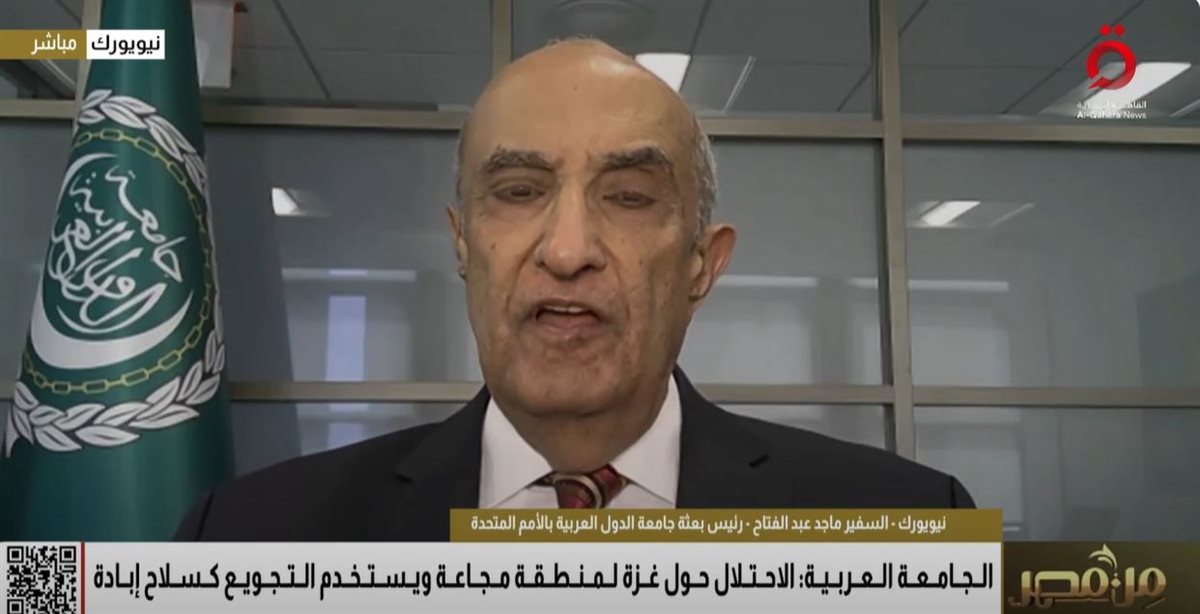 السفير ماجد عبد الفتاح