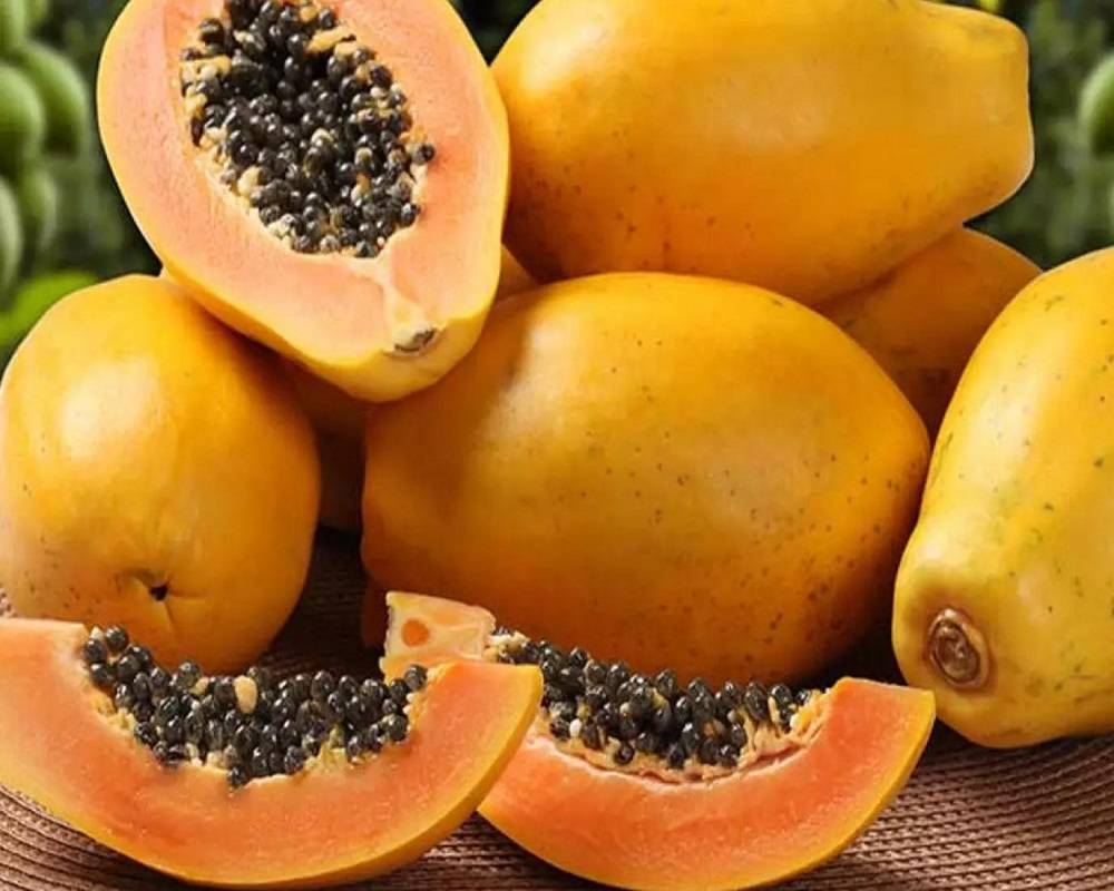 البابايا