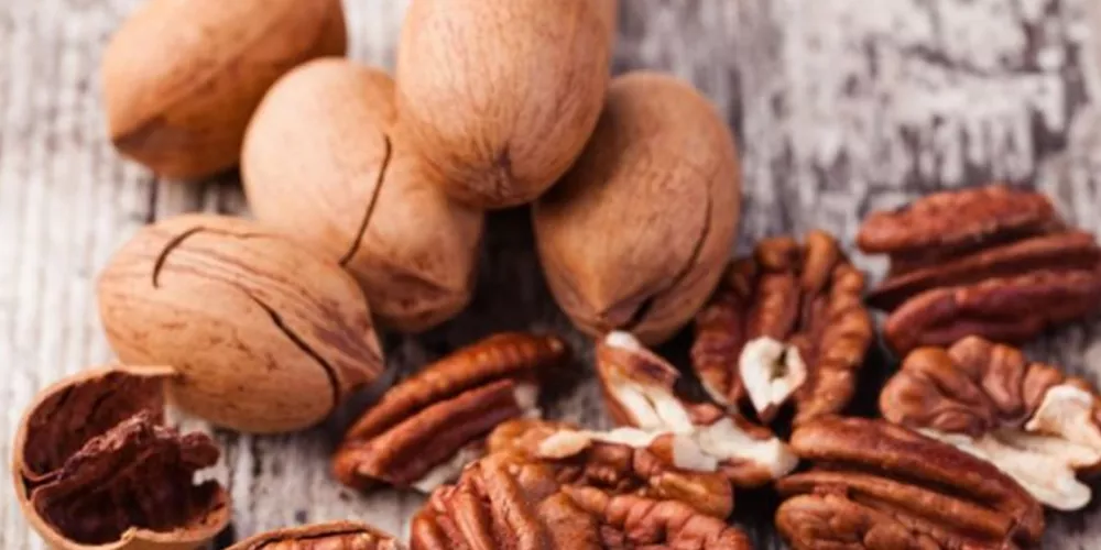 الجوز