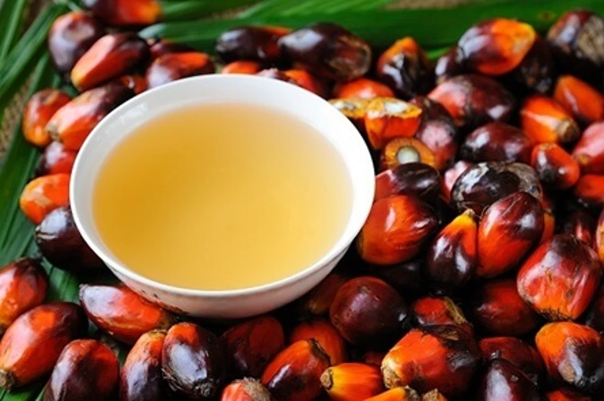 <strong>زيت نخيل </strong>