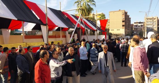 انتخابات مجلس الشيوخ