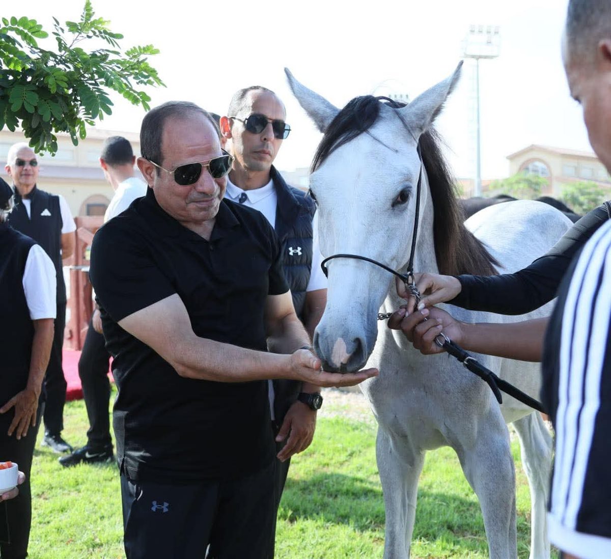 الرئيس عبد الفتاح السيسي