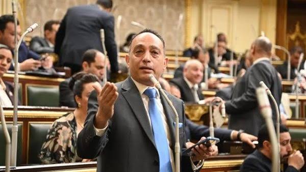 النائب فريدي البياضي