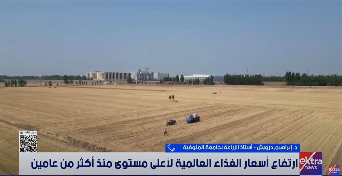 الدكتور إبراهيم درويش