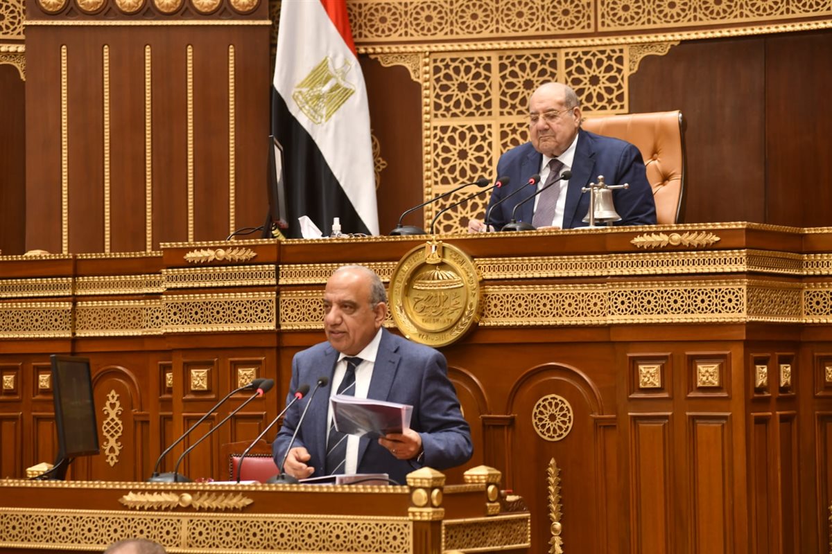 وزير الكهرباء داخل مجلس الشيوخ