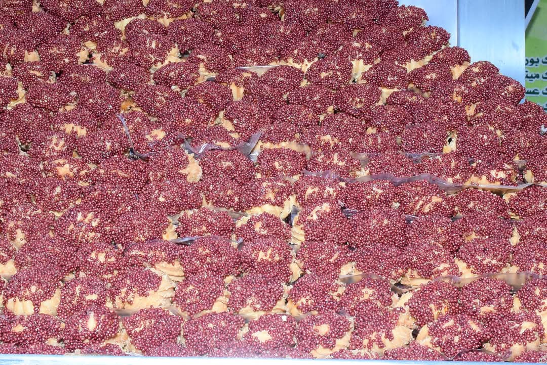مخبوزات عيد الفطر المبارك بسوهاج