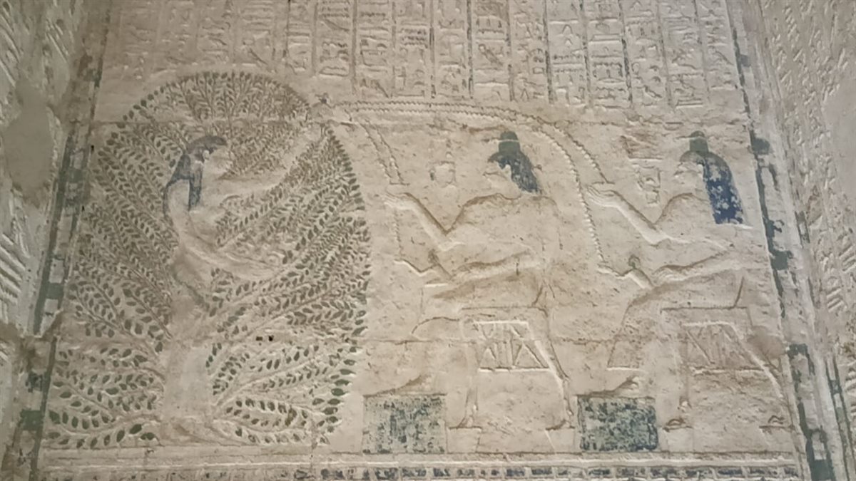 صور من داخل المبعد