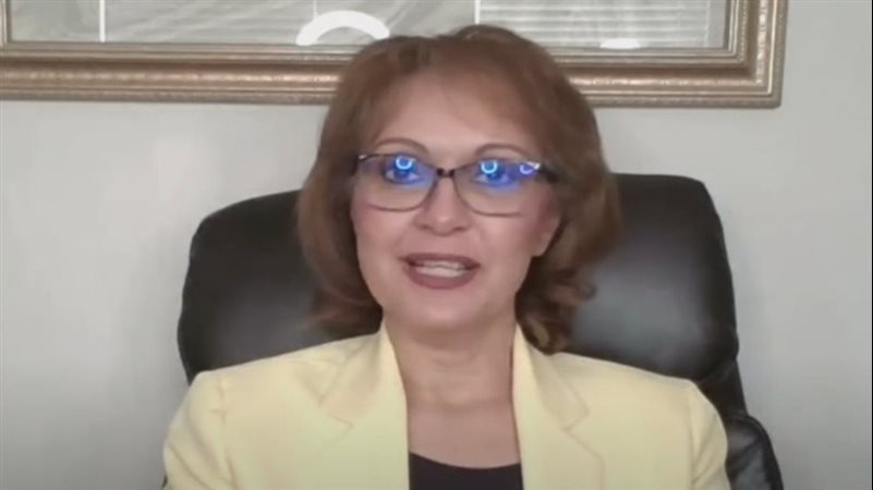 الدكتورة شيرين النجار، عضو الحزب الديمقراطي الأمريكي