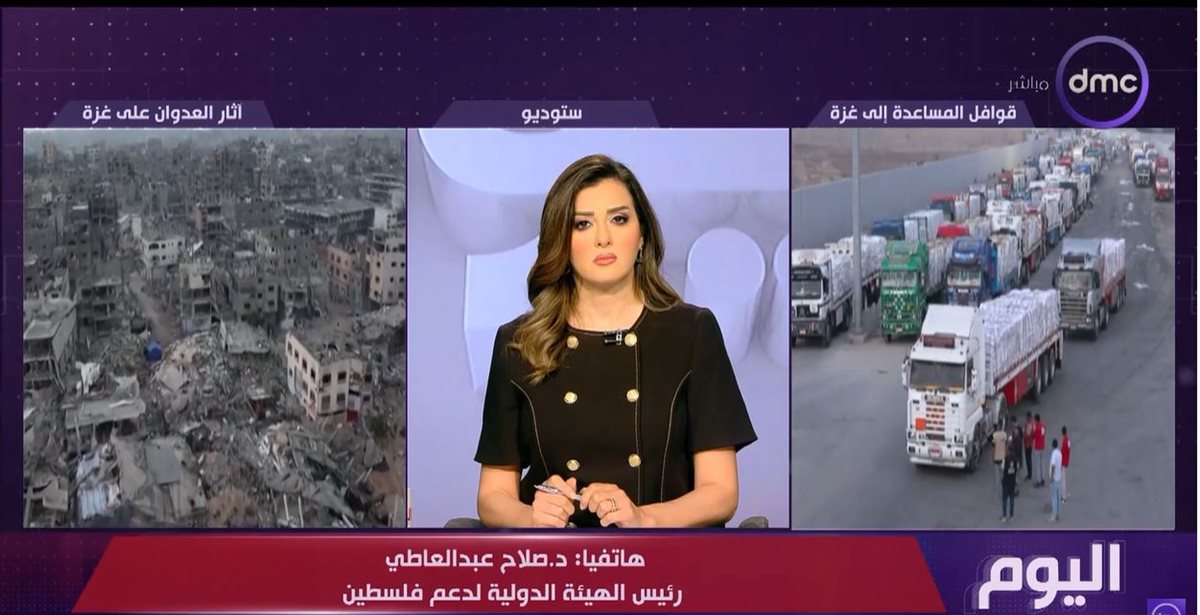 الدكتور صلاح عبد العاطي