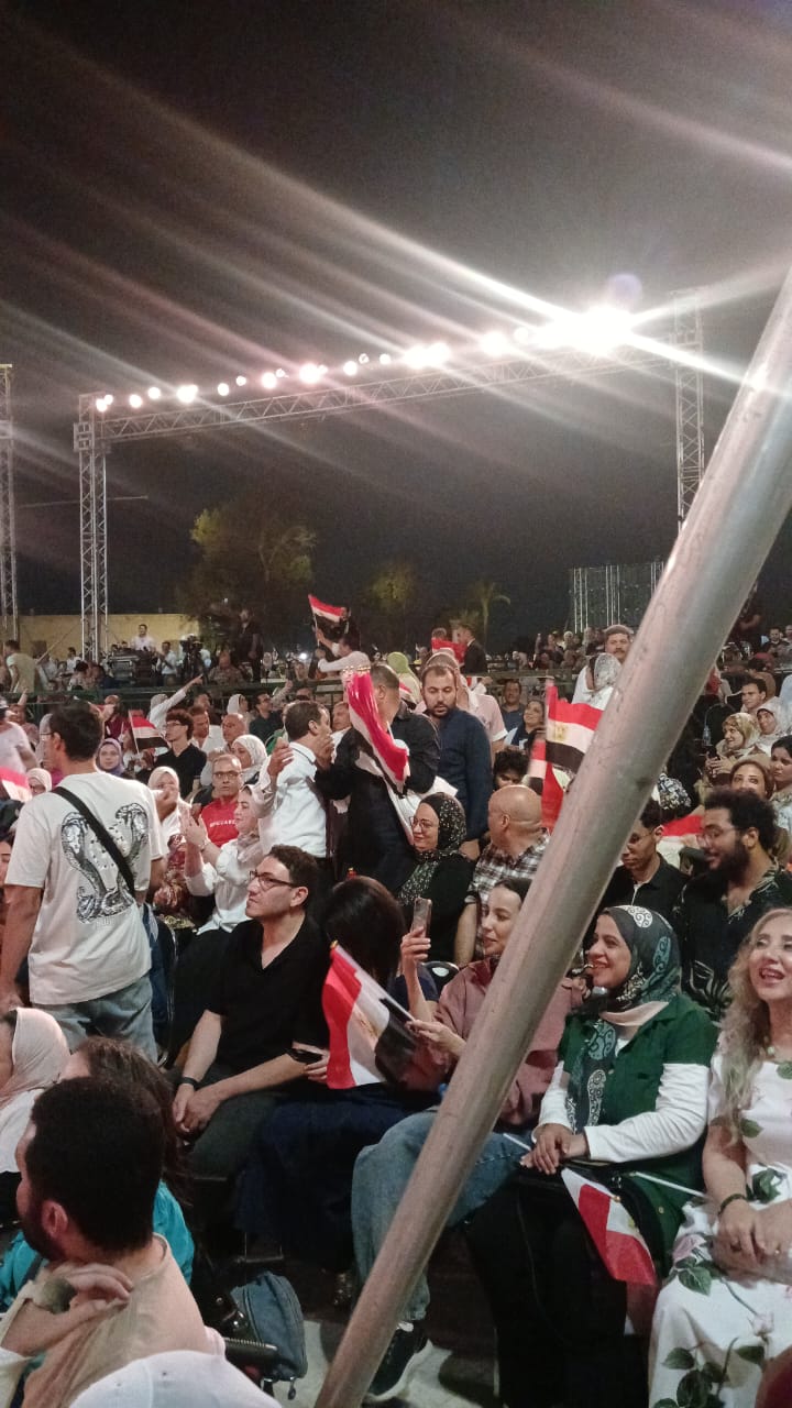 حفل علي الحجار في مهرجان القلعة