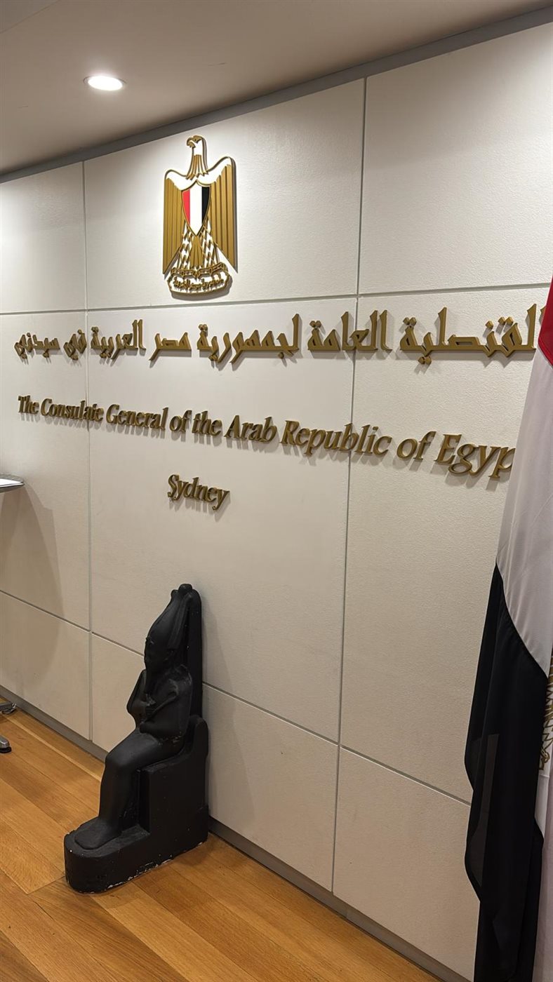 <strong>انتخابات الشيوخ&nbsp;</strong>