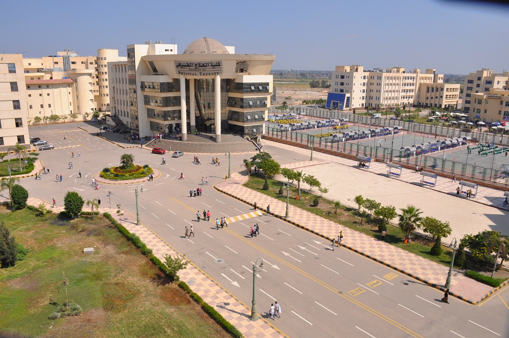 <strong>جامعة كفر الشيخ الأهلية</strong>