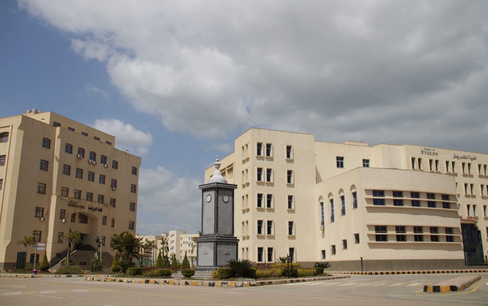 <strong>جامعة كفر الشيخ الأهلية</strong>