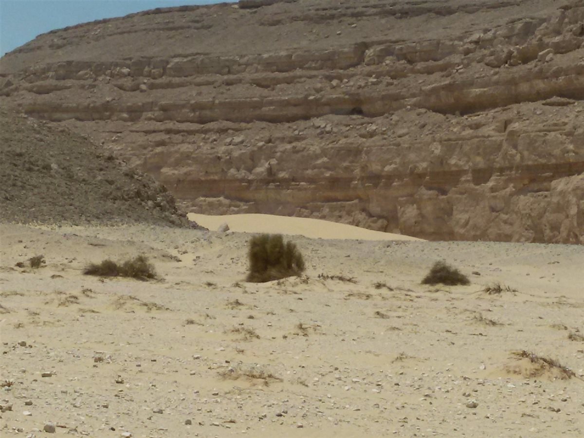 قفاي الأثر وجبال قنا