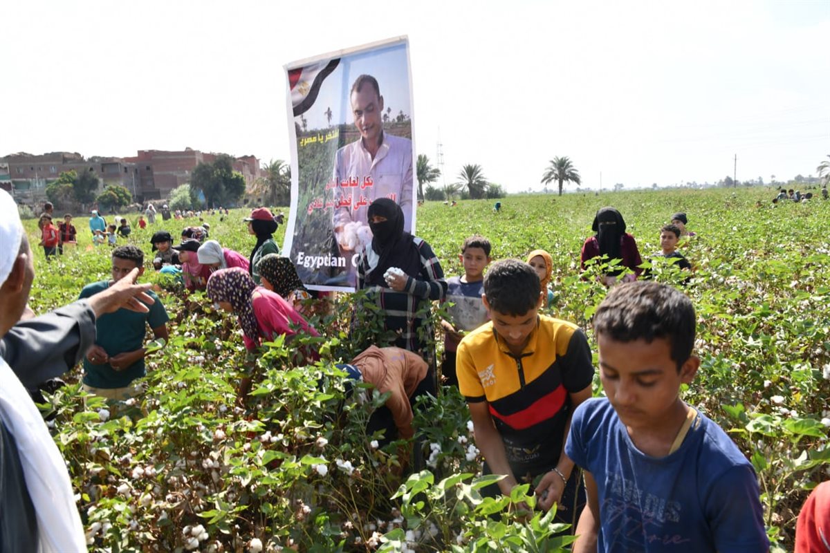 بالتزامن مع