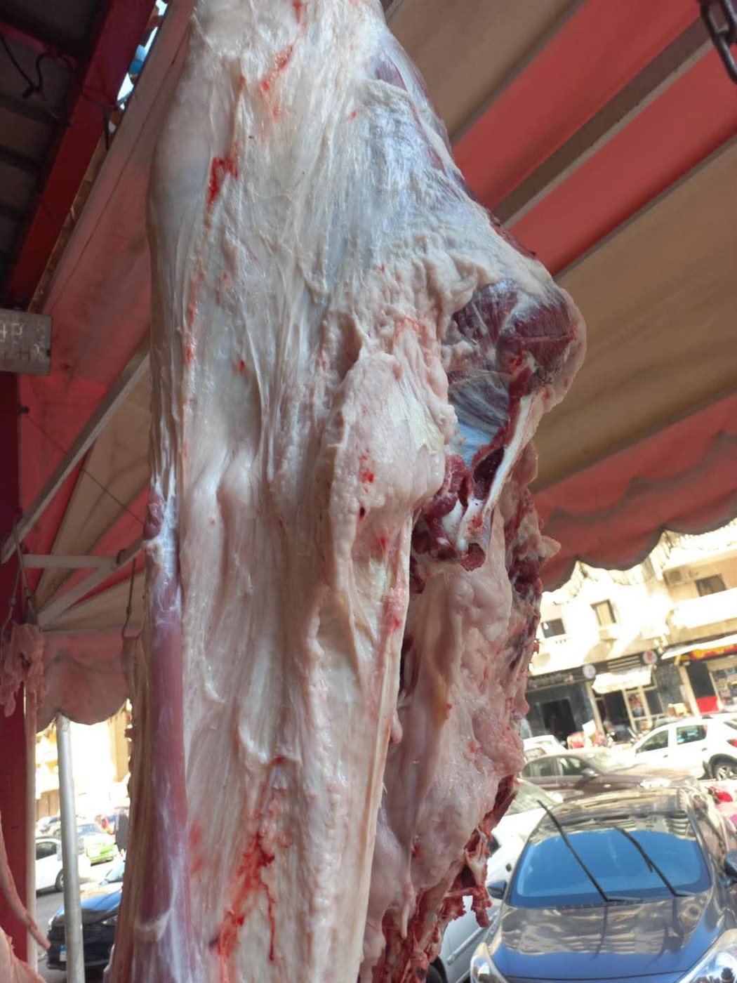 FB_IMG_1757652426155