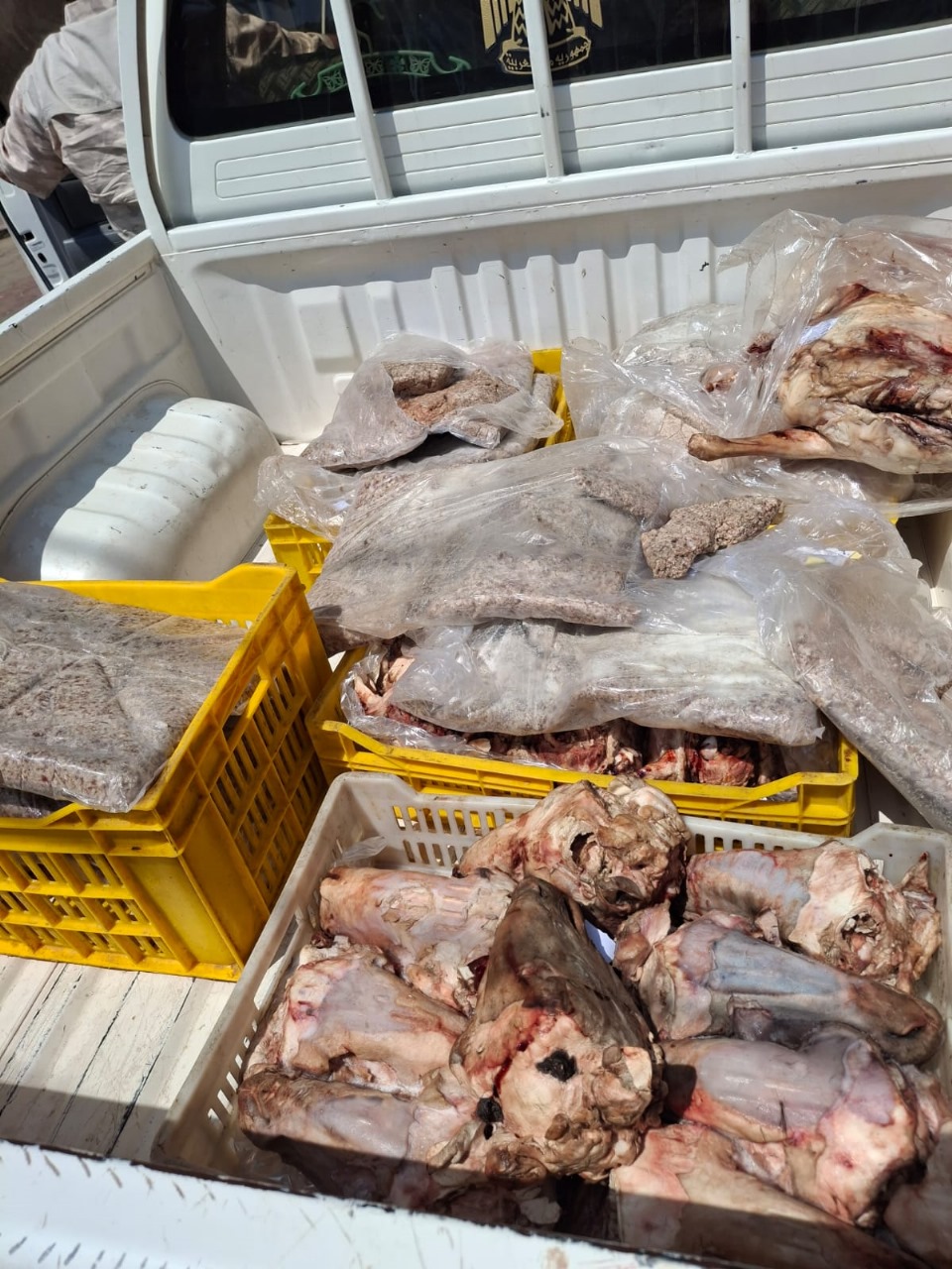 ضبط طن دقيق بلدي محظور بيعه أو تداوله ولحوم فاسدة وغير صالحة للاستهلاك الآدمي بالفيوم