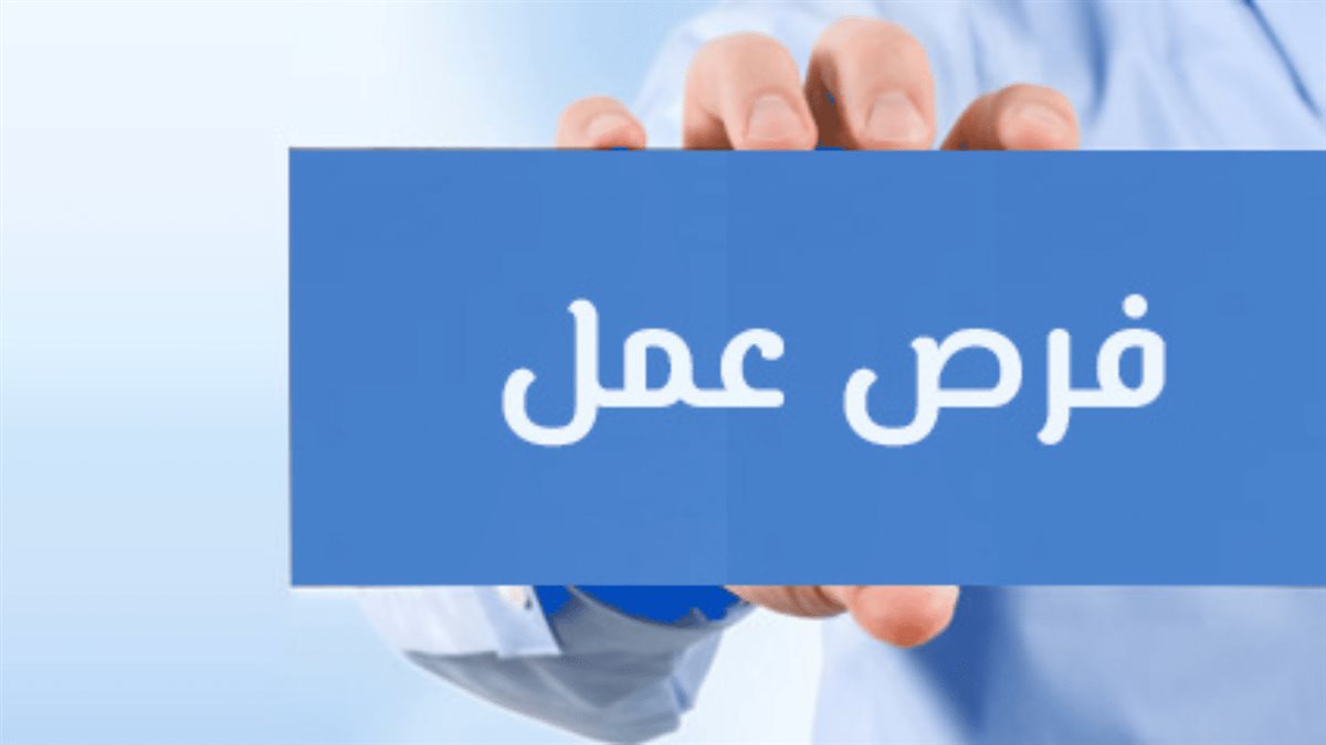 الوظائف الحكومية