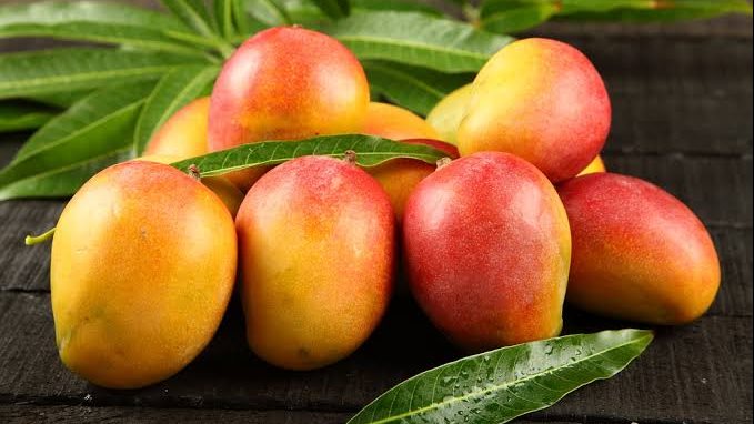 أسعار الفاكهة اليوم