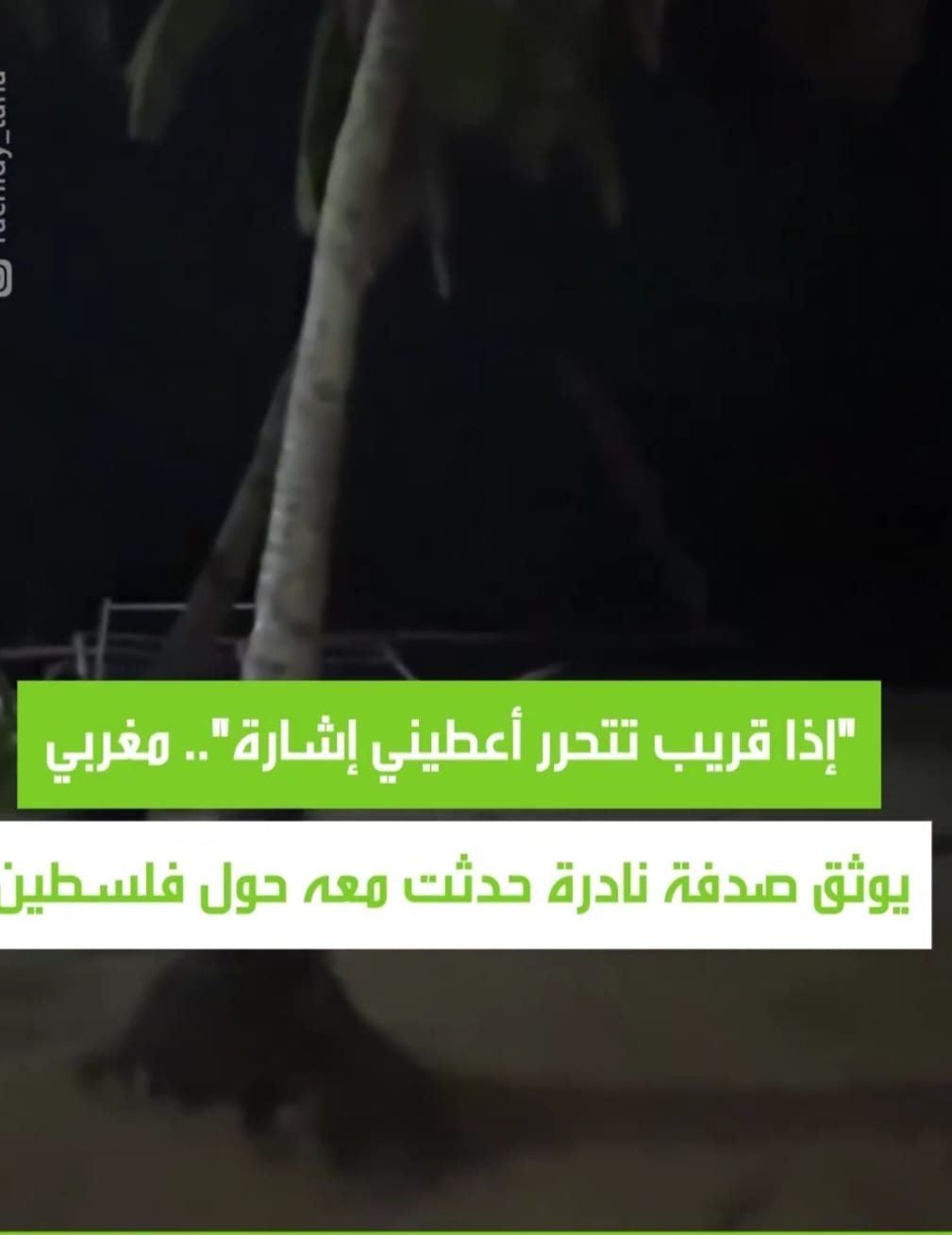 &nbsp;تحرير فلسطين