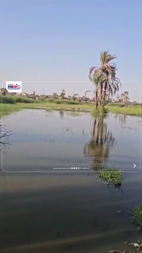 Videoframe_20251003_174834_com.huawei.himovie.overseas