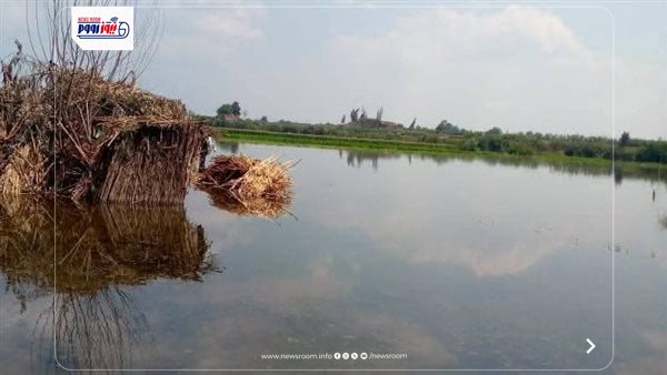 ارتفاع منسوب النيل في المنوفية