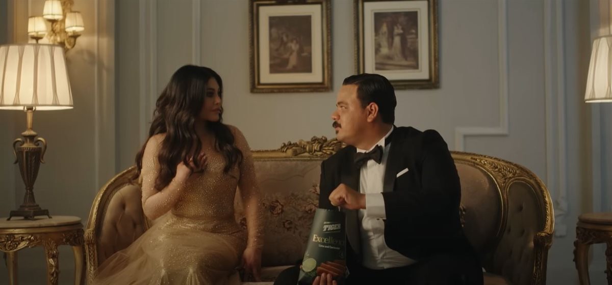 مصطفى غريب وهيفاء وهبي