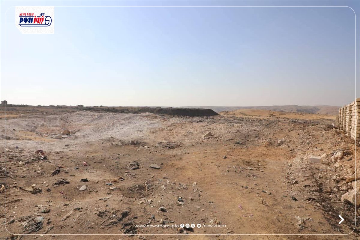 سوق الماشية بمدينة ملوي في المنيا
