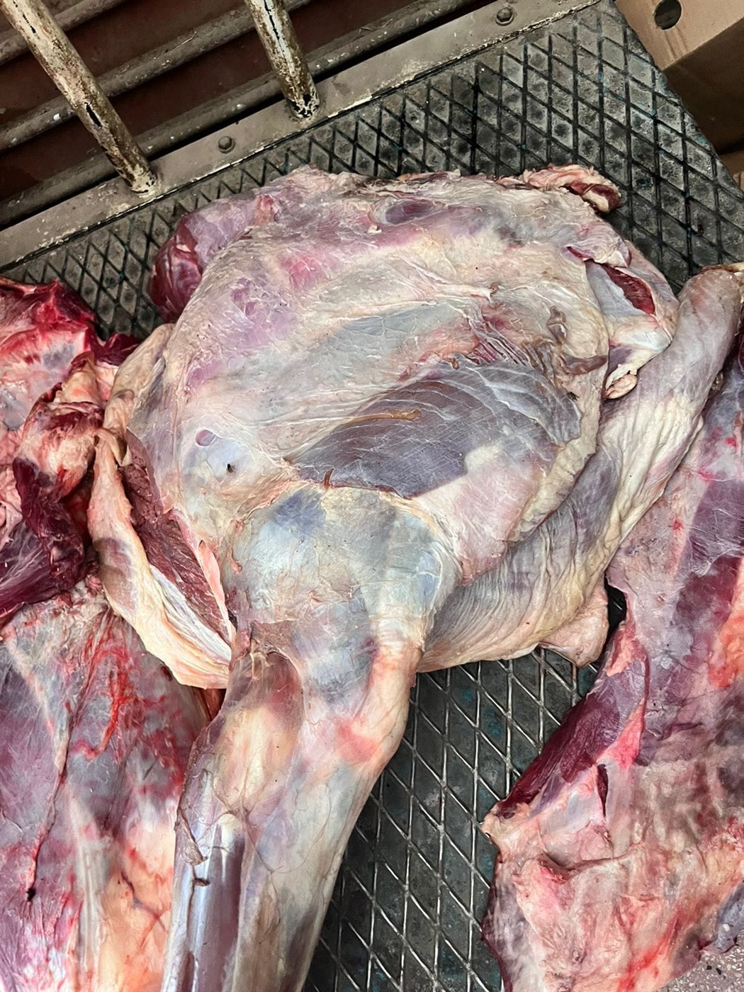 ضبط 45.5 كجم لحوم غير صالحة للاستهلاك الآدمي بالأقصر