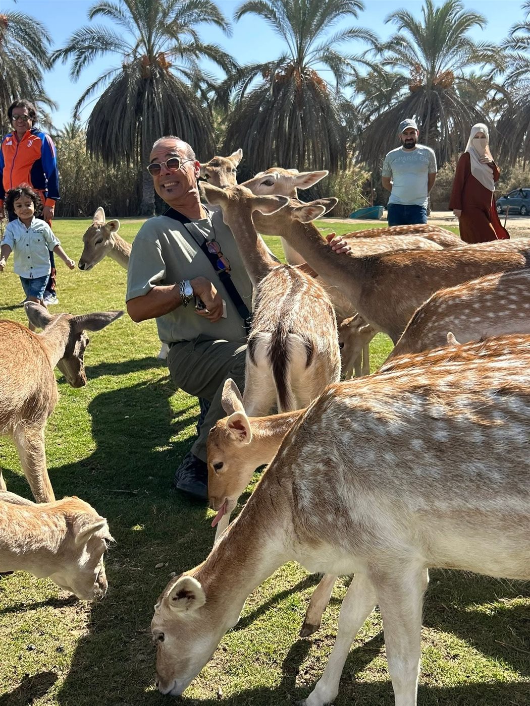 <strong>نادر عباسي في سفاري أفريقيا</strong>