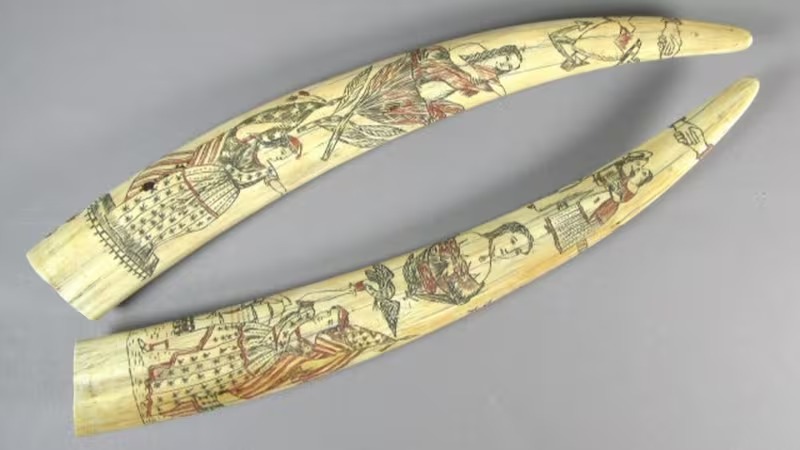 مسروقات متحف أوكلاند