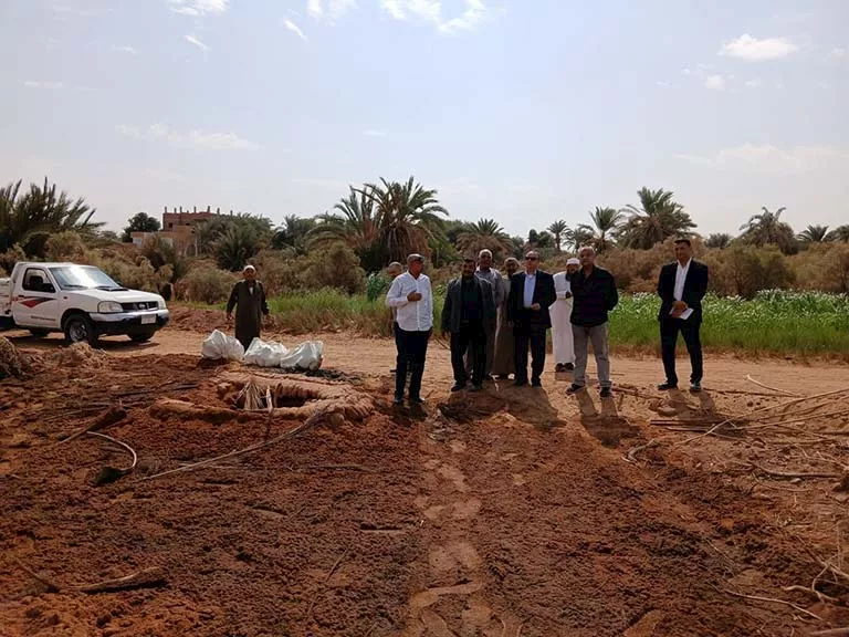 نقل رفات 8500 جثمان من إحدى المقابر في الوادي الجديد