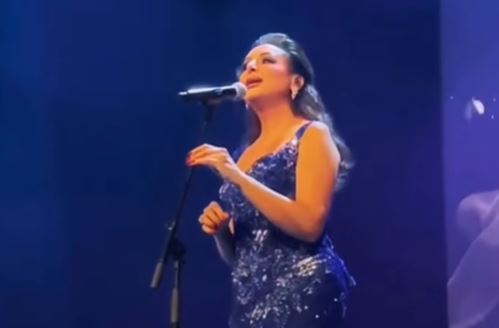 أنغام في حفلها بباريس