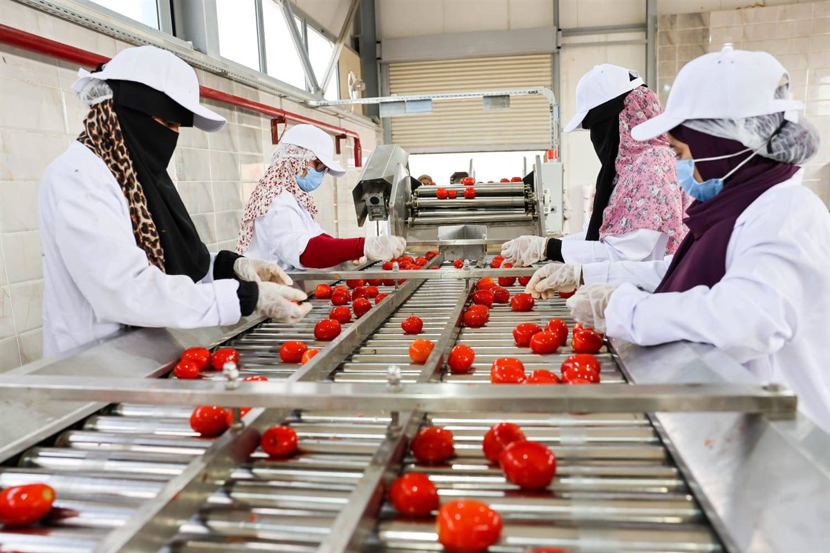 جانب من العمل