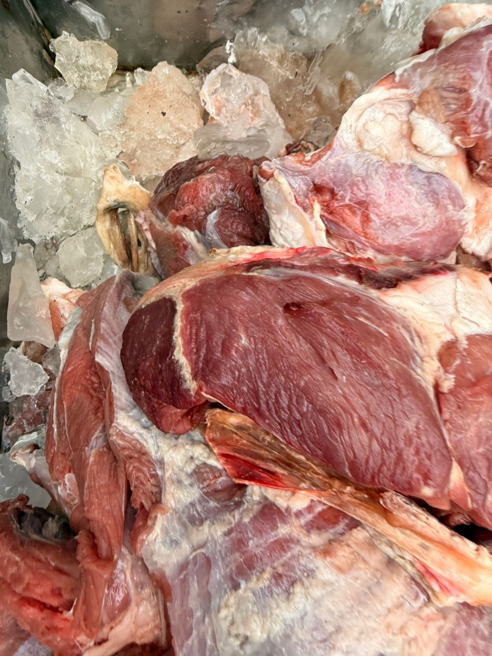 تموين الفيوم: يضبط ٩٠ كيلو لحوم بقري غير صالح للاستهلاك الادمي