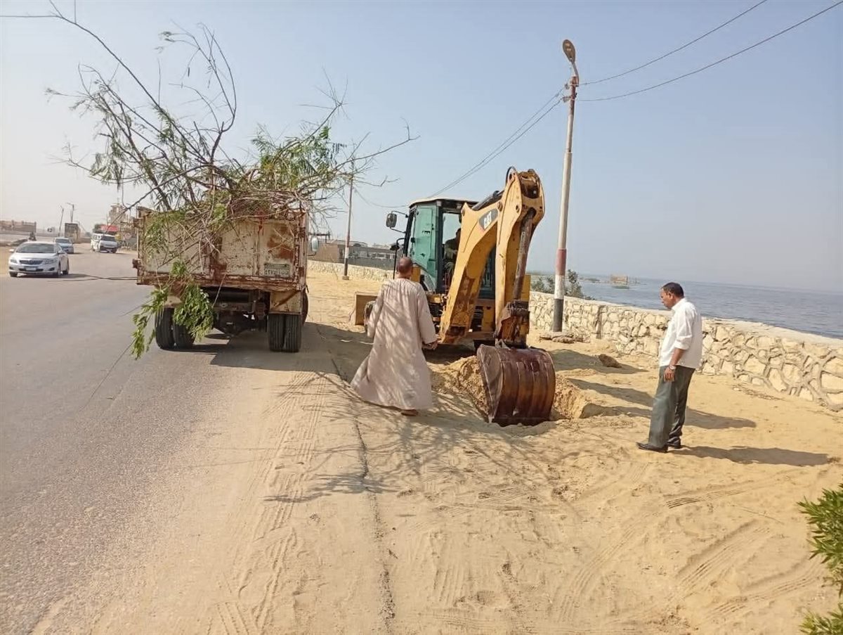 حملات مكبرة لتمهيد الطرق وصيانة الإنارة بالقرى وغرس أشجار بطريق بحيرة قارون ضمن مبادرة 100 مليون شجرة