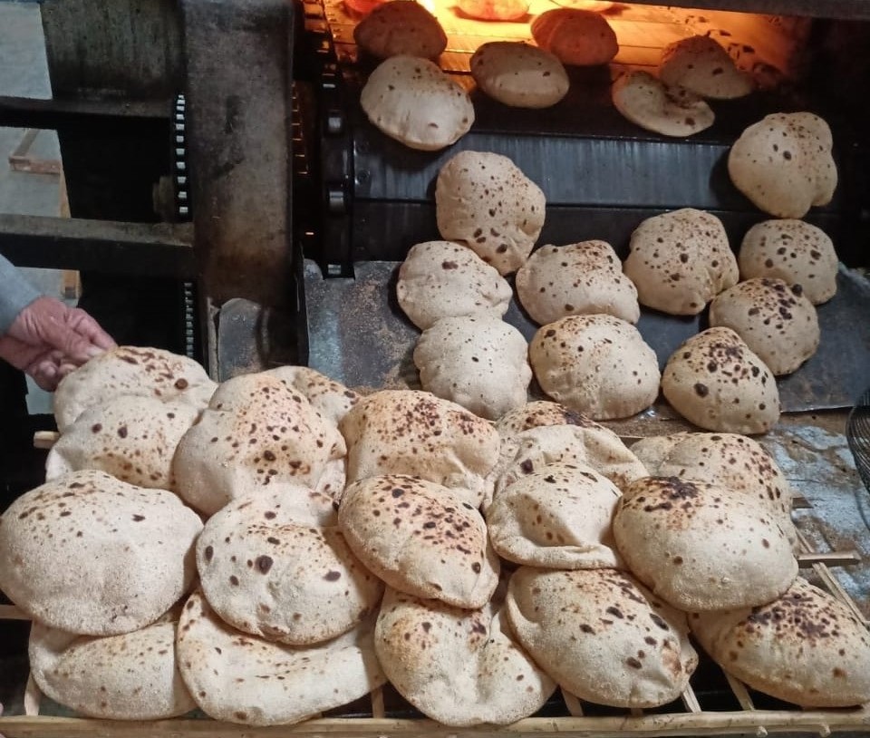 ضبط 36 كيلو لحوم فاسده وغير صالحه للاستهلاك الآدمي بأحد المطاعم بالفيوم <br>